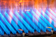 Blackham gas fired boilers